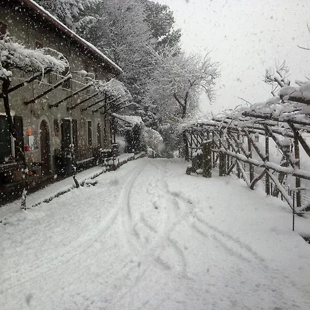 Le Frise